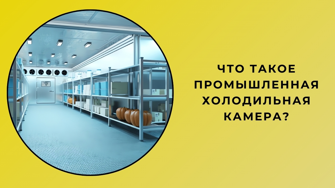 Что такое промышленная холодильная камера?