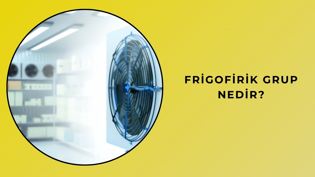 Frigofirik Grup Nedir?