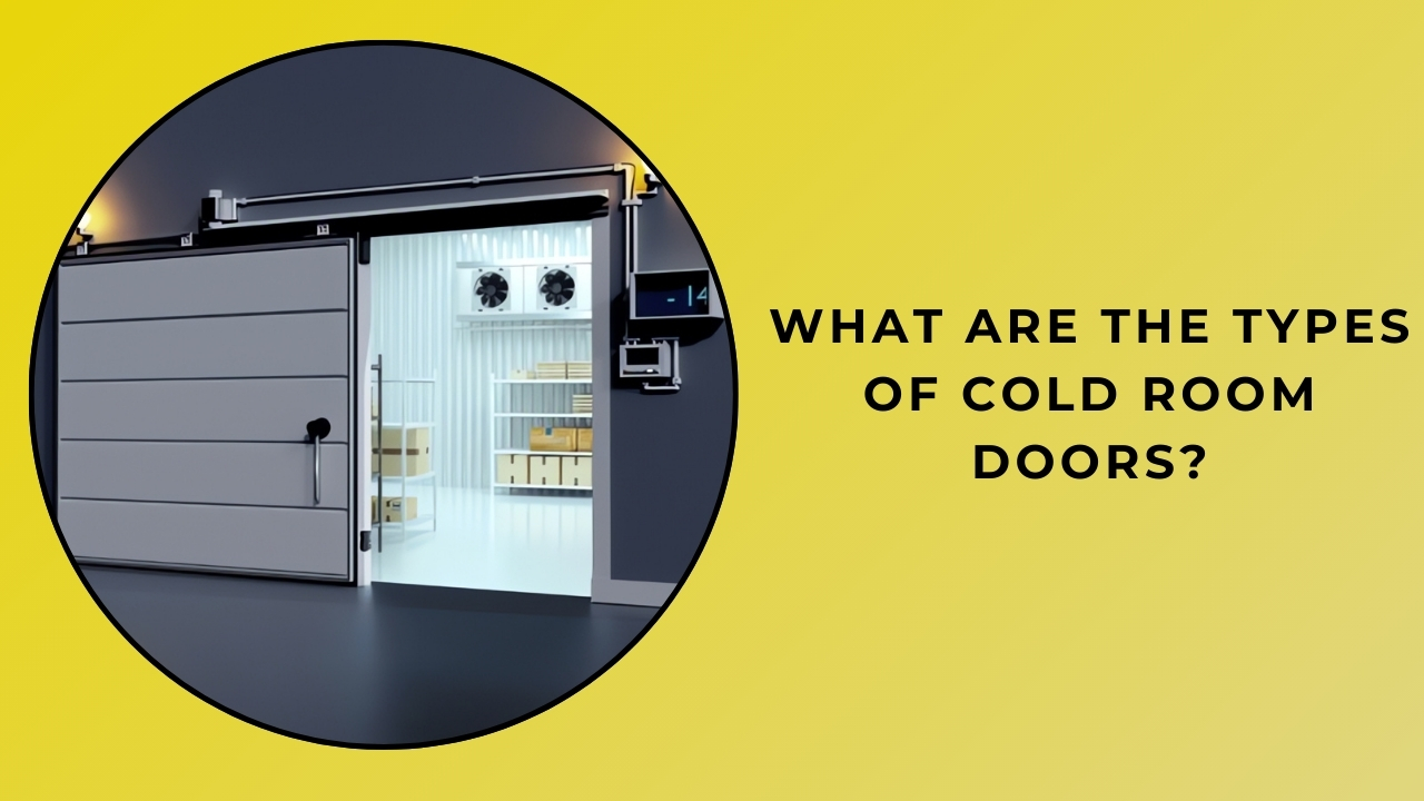 What Are the Types of Cold Room Doors?