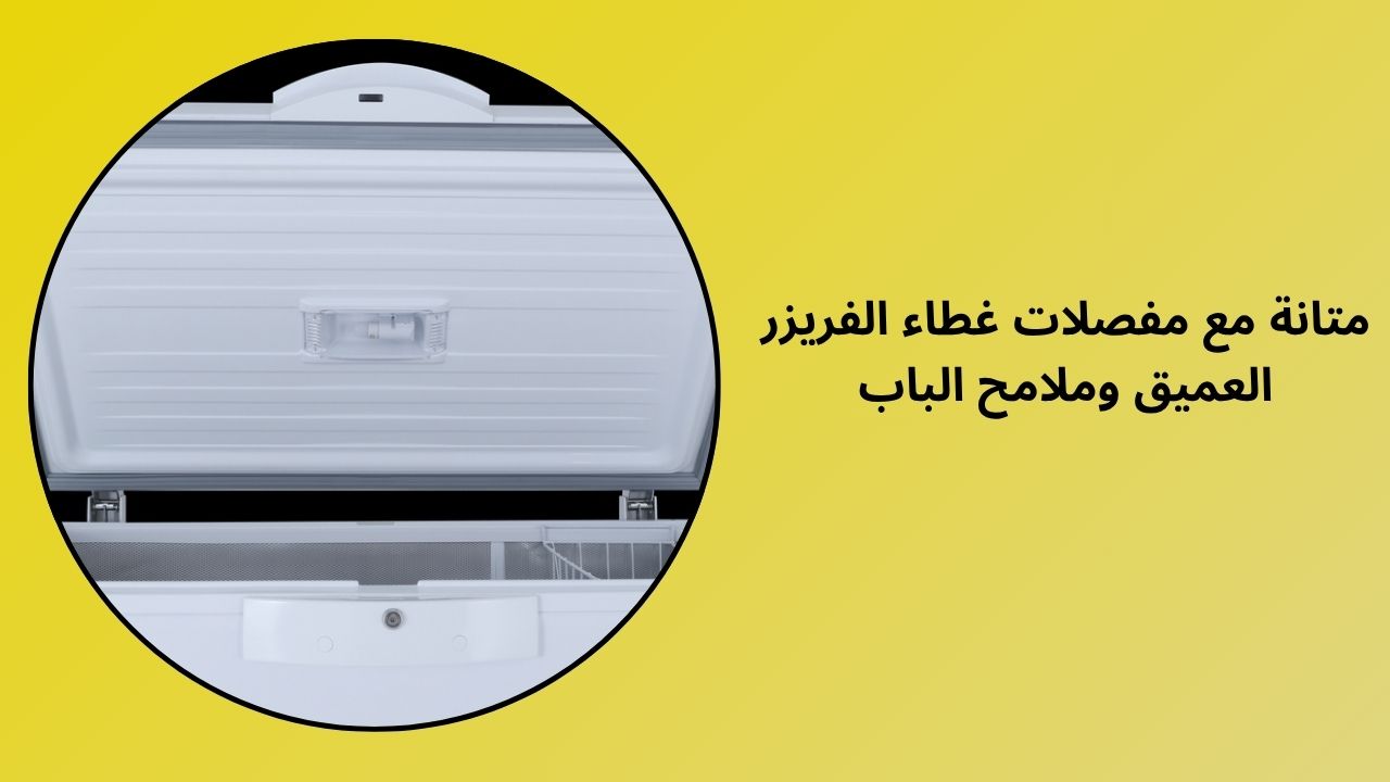 المتانة مع مفصلات أبواب الفريزر العميق وملامح الباب
