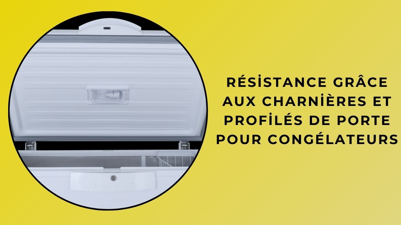 Durabilité avec charnières et profils de porte de congélateur