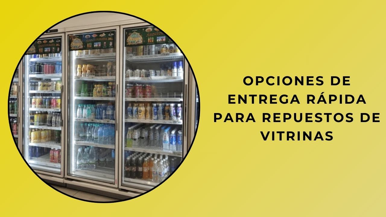 Opciones De Entrega Rápida Para Repuestos De Vitrinas Opciones De Entrega Rápida Para Repuestos De Vitrinas