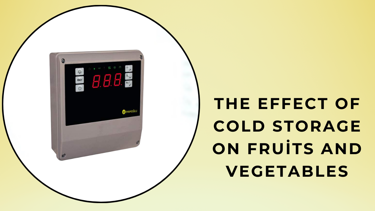 cold storage for fruit and vegetables