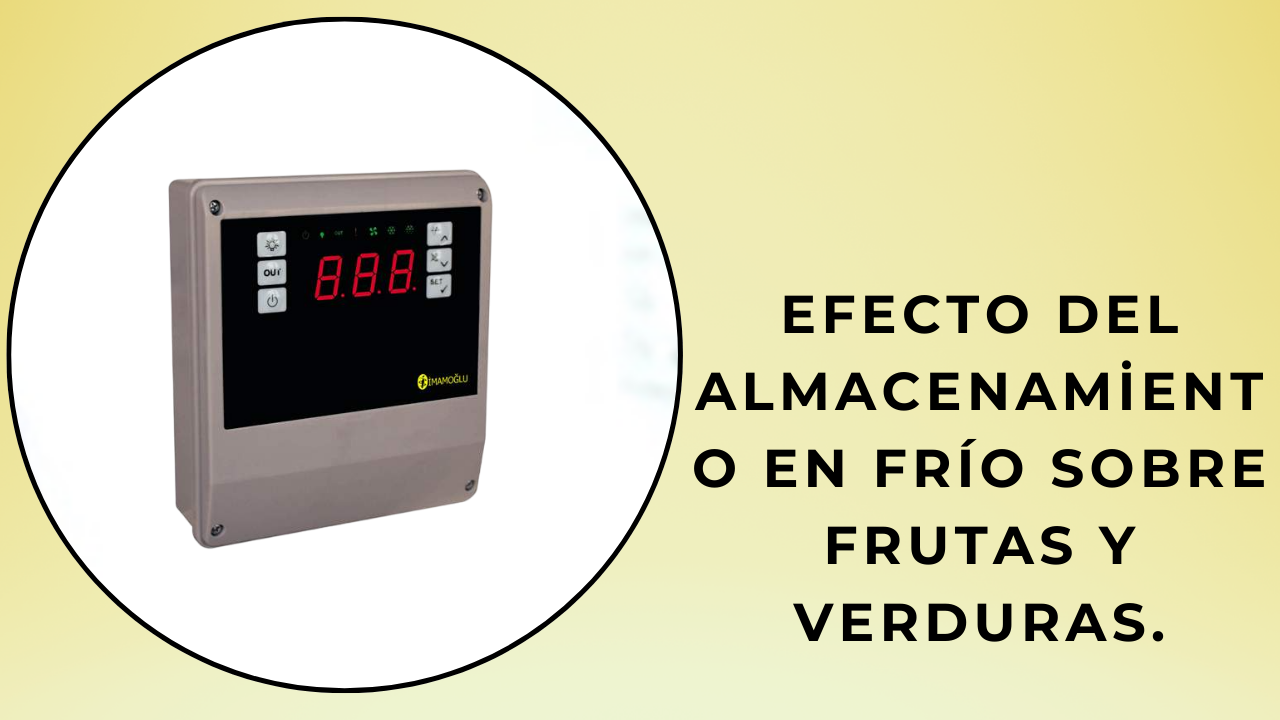 almacenamiento frigorífico de frutas y hortalizas