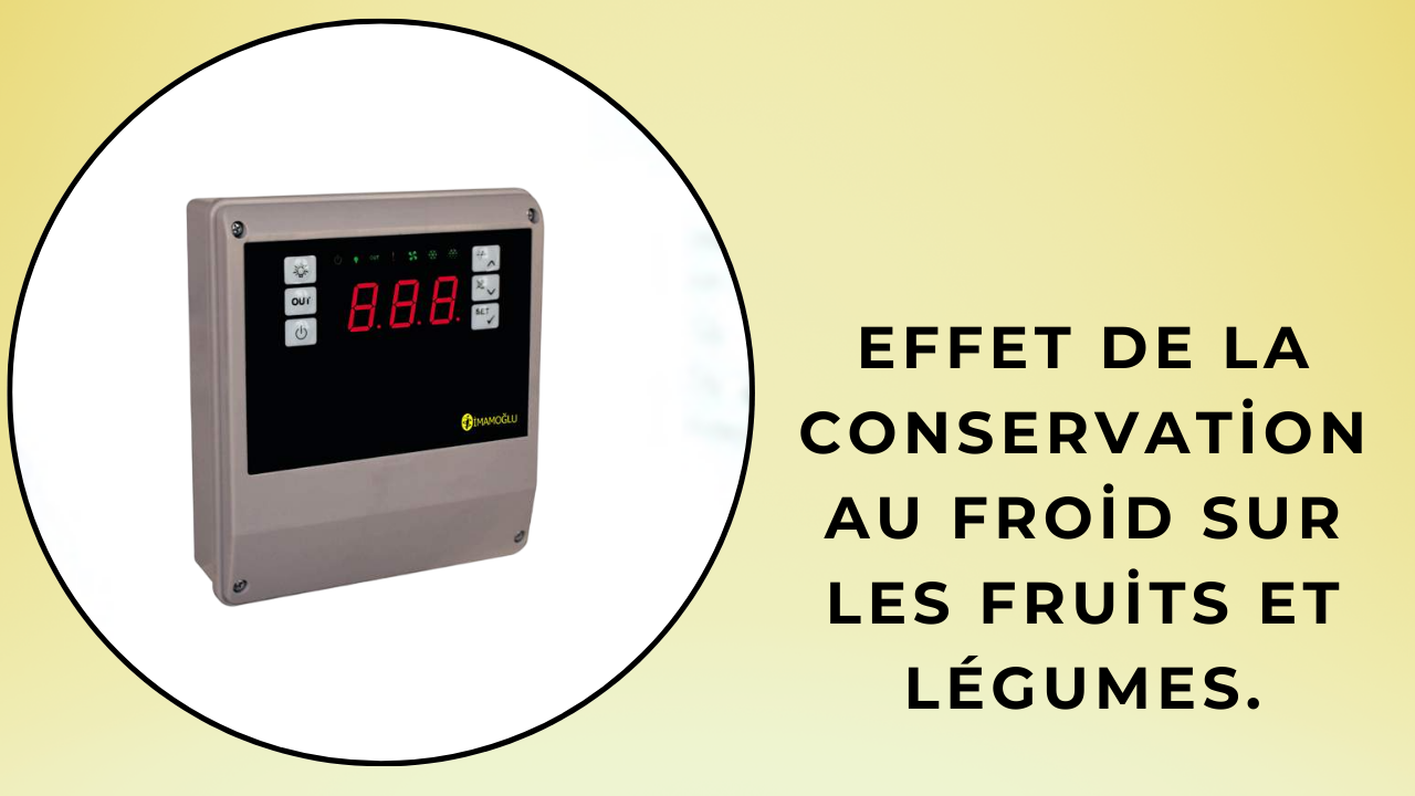 entrepôts frigorifiques pour fruits et légumes
