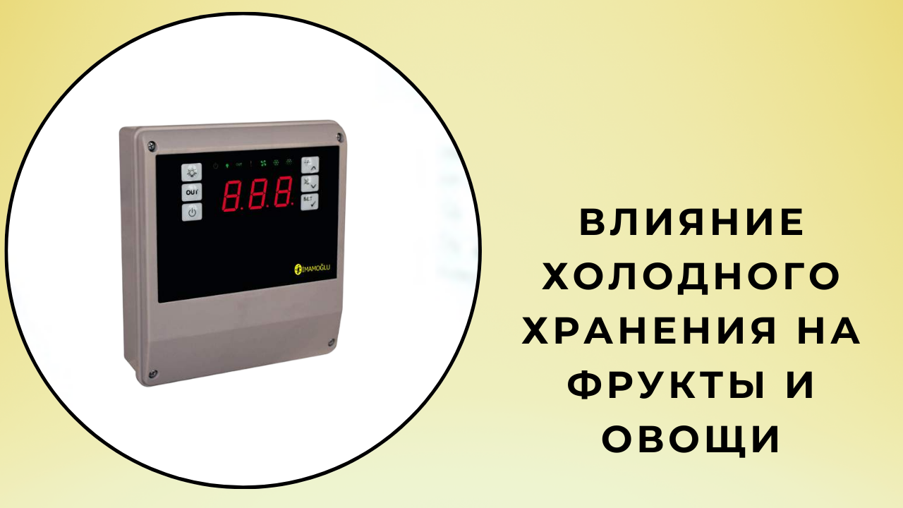 холодильные камеры для хранения овощей и фруктов